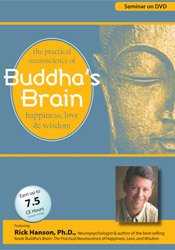 Rick Hanson - Buddha's Brain - The Practical Neuroscience of Happiness, Love and Wisdom
