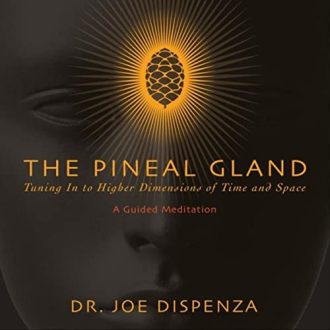 Dr. Joe Dispenza - The Pineal Gland - Tuning in to Higher Dimensions